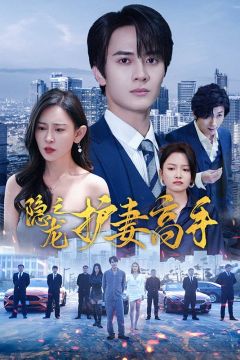 隐龙之护妻高手