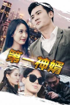 第一神婿