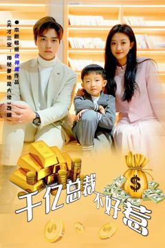 千亿总裁不好惹