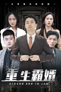 重生霸婿
