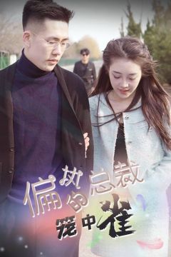 偏执总裁的笼中雀