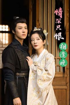 情深只恨相逢晚